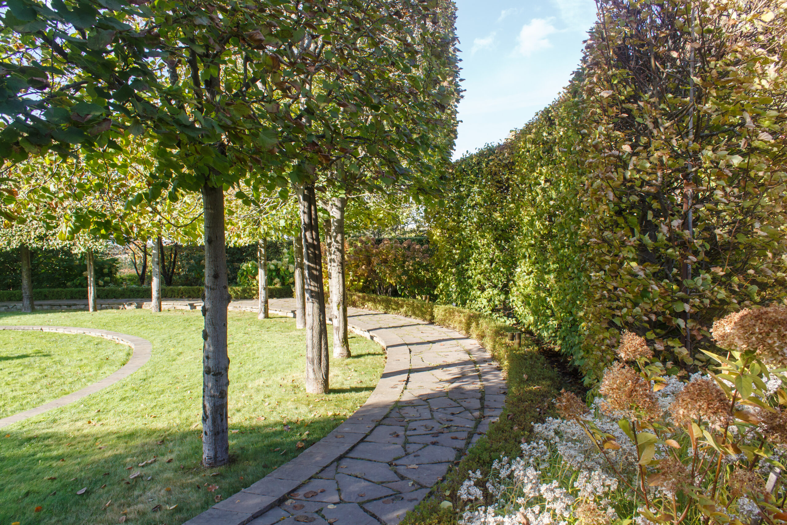 tree maintenance on a well-manicured garden