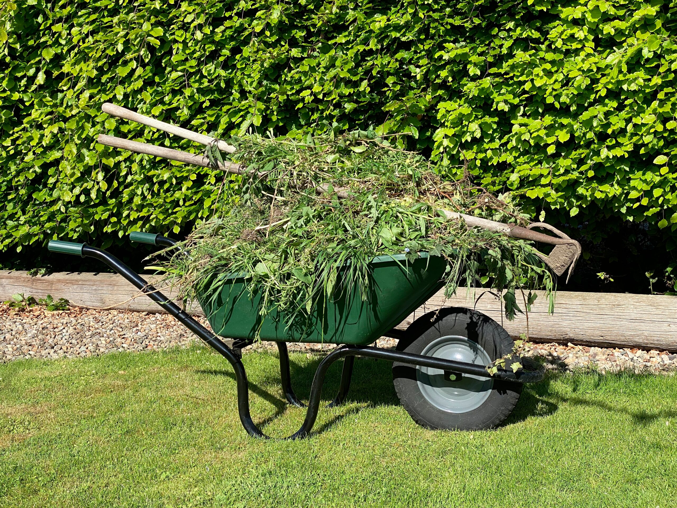 fertilization, weed and pest control for lawns